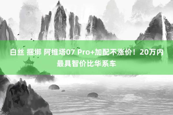 白丝 捆绑 阿维塔07 Pro+加配不涨价！20万内最具智价比华系车