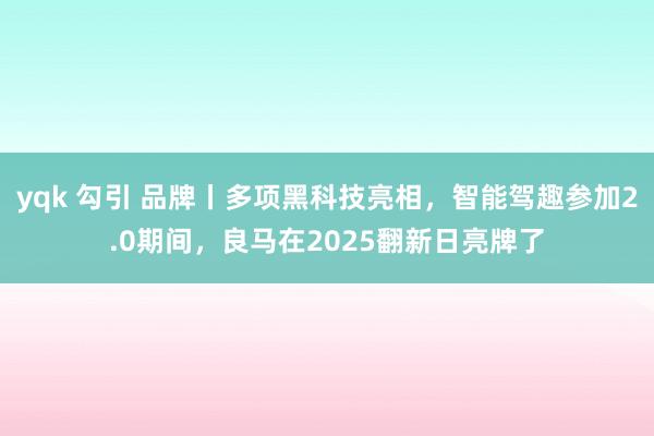 yqk 勾引 品牌丨多项黑科技亮相，智能驾趣参加2.0期间，良马在2025翻新日亮牌了
