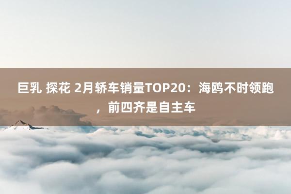 巨乳 探花 2月轿车销量TOP20：海鸥不时领跑，前四齐是自主车